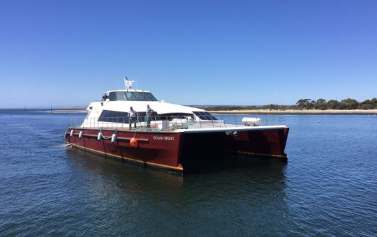american river transportation company