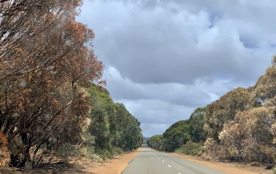 Road to Parndana