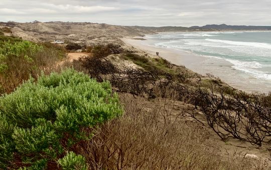 Vionne Bay