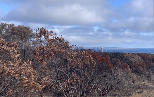 Cape du Couedic