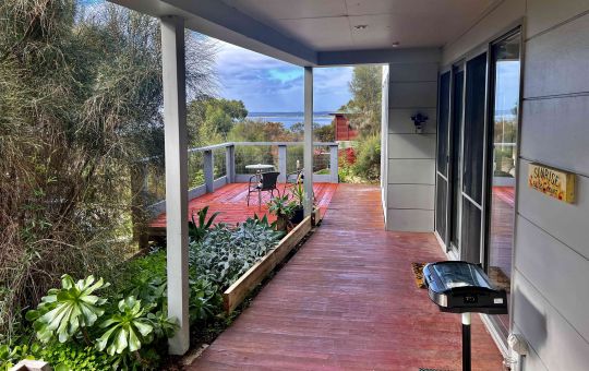 Love the new sun deck
