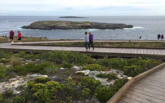 Walking Trails and Safety