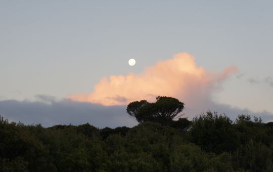 Moon at Sunset