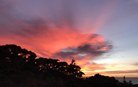 Red Sky