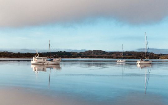 Sea Mist lifts