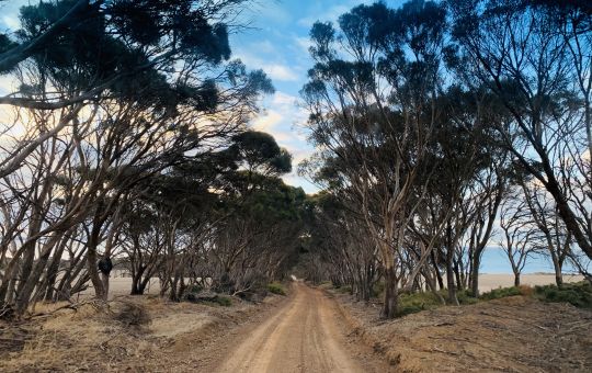 Road to Redbanks