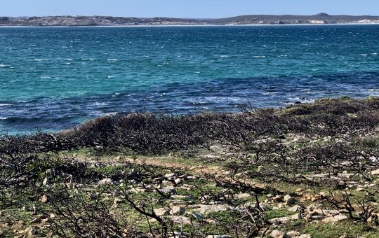 Vivonne Bay