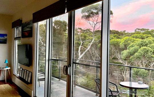 Lounge Windows