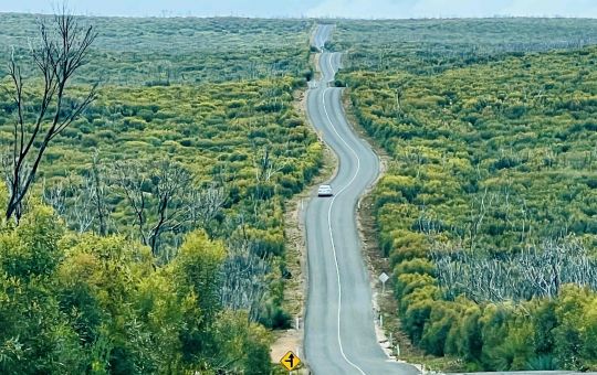 Road to Flinders Chase