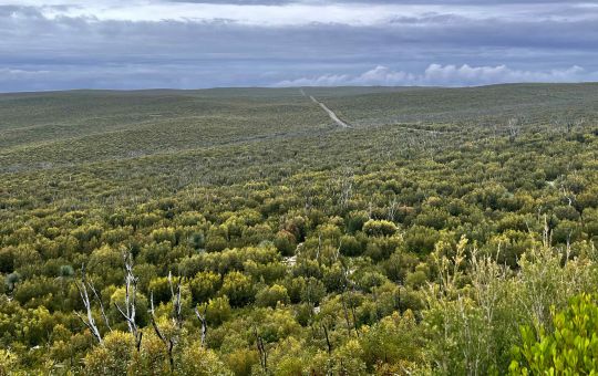 Expansive western views