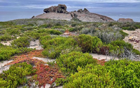 Remarkable Rocks in Spring