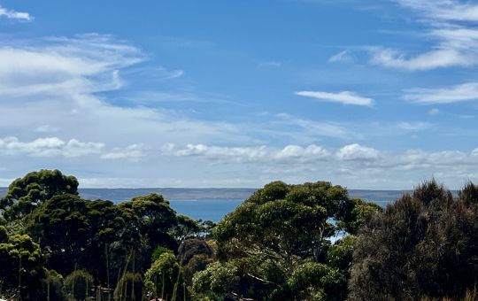 Deluxe sea view