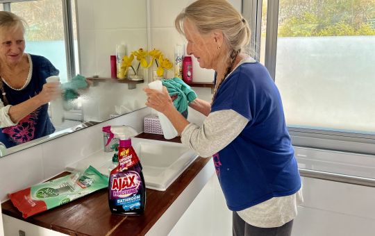 bathroom cleaning